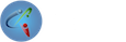 Catalyst CMS